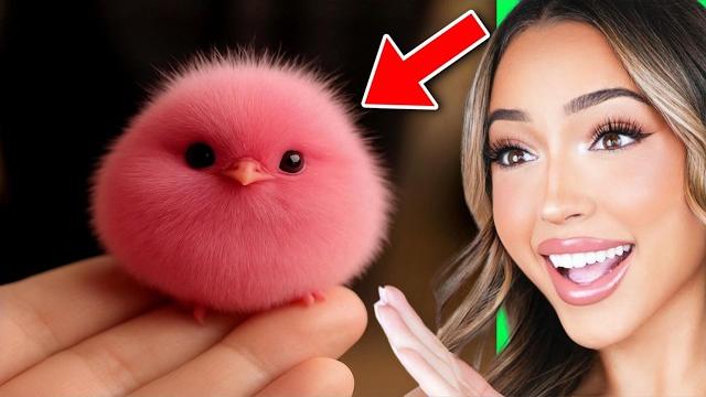 Worlds *MOST* Oddly SATISFYING Videos! (VIRAL CLIPS) Worlds *MOST* Oddly SATISFYING Videos! (VIRAL CLIPS)