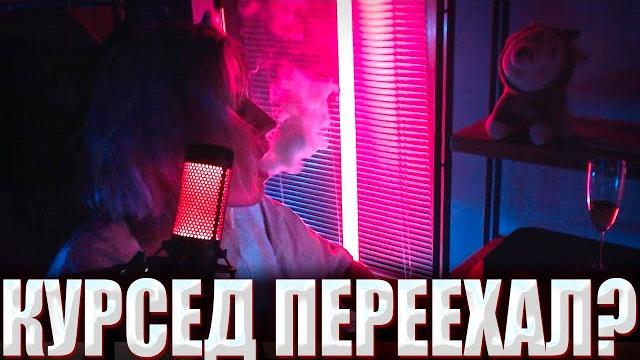 КУРСЕД ЗАПУСТИЛ СТРИМ С ВЕБКОЙ В ЧЕСТЬ ПЕРЕЕЗДА?) / ZXCURSED И AKUMAQQE СТРИМЯТ С ВЕБКАМИ! КУРСЕД ЗАПУСТИЛ СТРИМ С ВЕБКОЙ В ЧЕСТЬ ПЕРЕЕЗДА?) / ZXCURSED И AKUMAQQE СТРИМЯТ С ВЕБКАМИ!