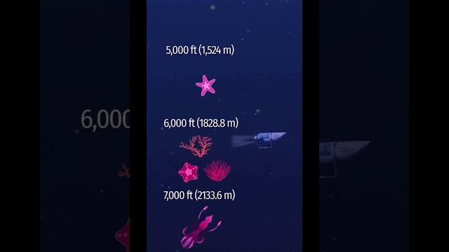 На какой глубине находится Титаник? #shortsbeta #shortsvideo путешествие к Титанику на батискафе На какой глубине находится Титаник? #shortsbeta #shortsvideo путешествие к Титанику на батискафе