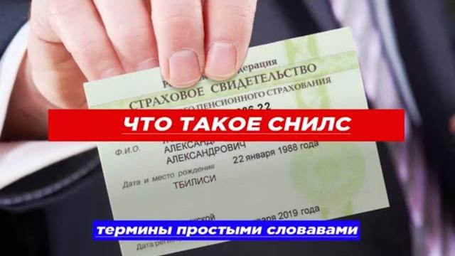 Что такое СНИЛС. Термины простыми словами Что такое СНИЛС. Термины простыми словами