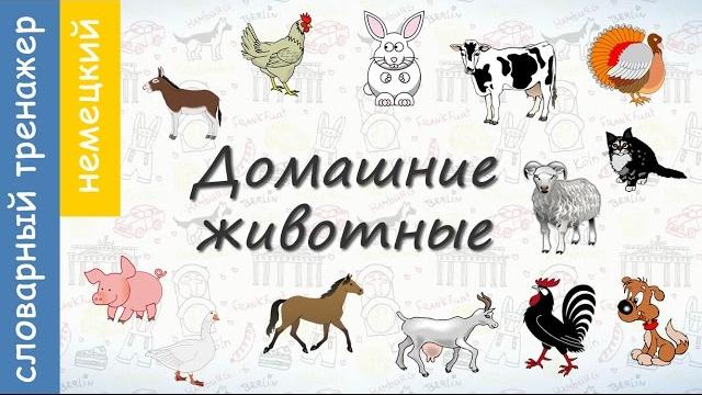 Домашние животные на немецком. ВИДЕОТРЕНАЖЕР Домашние животные на немецком. ВИДЕОТРЕНАЖЕР