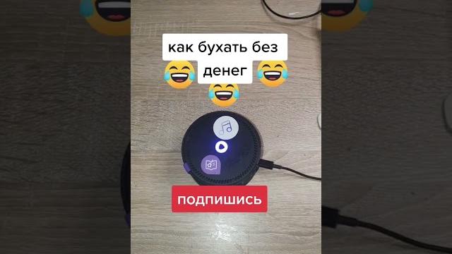 Алиса рассказывает как бухать без бухла и денег лучшие приколы 2021 / яндекс Алиса жгёт Алиса рассказывает как бухать без бухла и денег лучшие приколы 2021 / яндекс Алиса жгёт