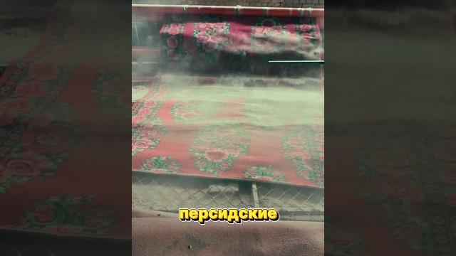 Как чистят ковры Как чистят ковры