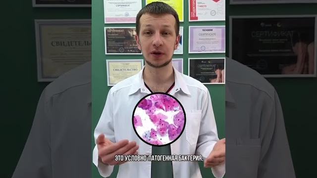 Запах рыбы? Разберёмся. Запах рыбы? Разберёмся.