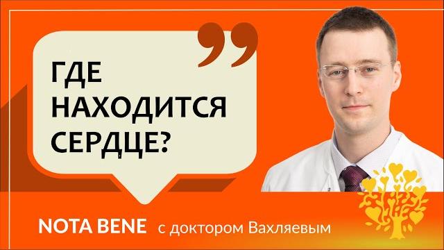 Где находится сердце? Где находится сердце?