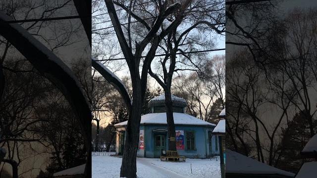 Epic Rides & Winter Vibes at Harbin Russian Theme Park ️ #harbin #travelchina #wintervibes Epic Rides & Winter Vibes at Harbin Russian Theme Park ️ #harbin #travelchina #wintervibes