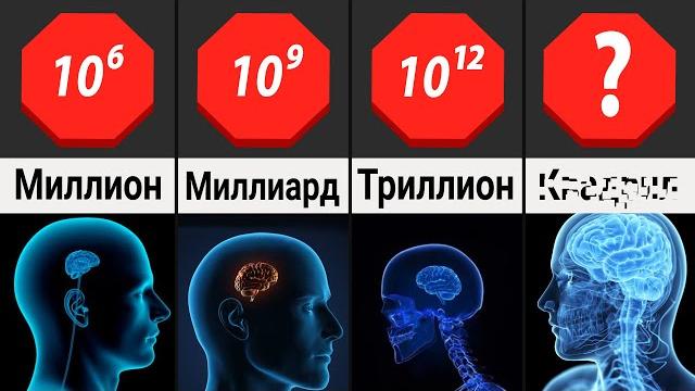 Что идет после триллиона? Названия больших чисел Что идет после триллиона? Названия больших чисел