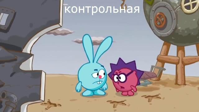 Муд ёжик| Приколы с ёжиком Муд ёжик| Приколы с ёжиком