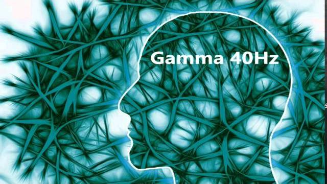 40 Hz Gamma - Pure Tone Binaural Beat - Brain's Operating System 40 Hz Gamma - Pure Tone Binaural Beat - Brain's Operating System