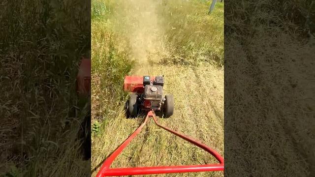 Самодельный мульчер Каратель 2.0 своими руками! Тестирую бурьянокосилку на участке 6 соток! #мульчер Самодельный мульчер Каратель 2.0 своими руками! Тестирую бурьянокосилку на участке 6 соток! #мульчер