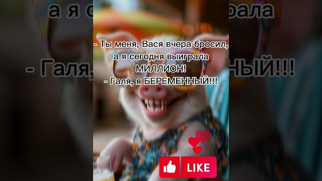 И такое бывает #анекдот #анекдоты #юмор И такое бывает #анекдот #анекдоты #юмор
