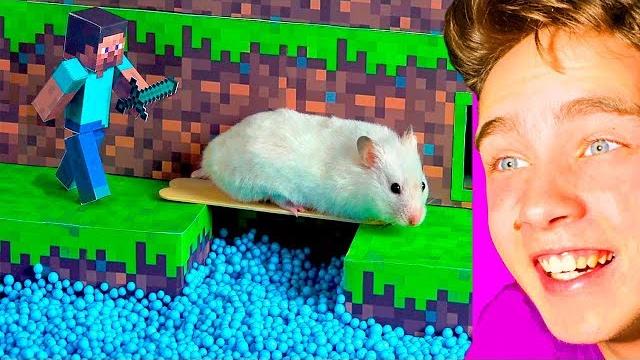 ХОМЯК В ЛАБИРИНТЕ MINECRAFT! хомяк в майнкрафте/смешные видео про майнкрафт/хомячок в майнкрафте! ХОМЯК В ЛАБИРИНТЕ MINECRAFT! хомяк в майнкрафте/смешные видео про майнкрафт/хомячок в майнкрафте!
