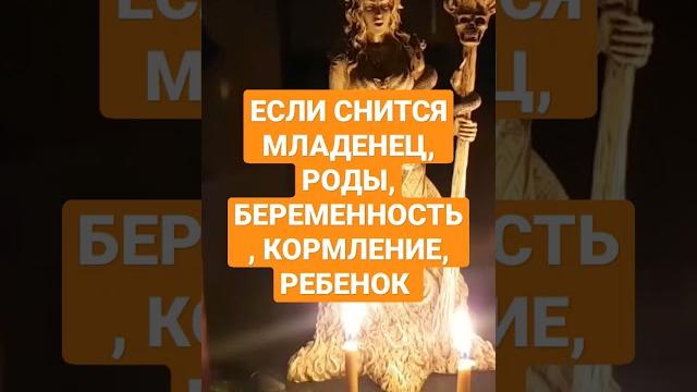ЕСЛИ СНИТСЯ МЛАДЕНЕЦ, РОДЫ, КОРМЛЕНИЕ, БЕРЕМЕННОСТЬ, РЕБЕНОК #ингахосроева #shorts #сон #сонник ЕСЛИ СНИТСЯ МЛАДЕНЕЦ, РОДЫ, КОРМЛЕНИЕ, БЕРЕМЕННОСТЬ, РЕБЕНОК #ингахосроева #shorts #сон #сонник