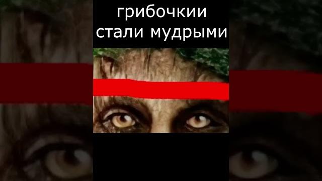 Веселые грибочки мем Веселые грибочки мем