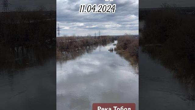 Срочные новости. Река Тобол. Прогноз высоты от специалиста #курган #тобол #рекатобол #паводок #юмор Срочные новости. Река Тобол. Прогноз высоты от специалиста #курган #тобол #рекатобол #паводок #юмор