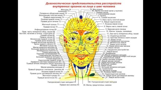 За какие органы отвечают прыщи на лице? За какие органы отвечают прыщи на лице?