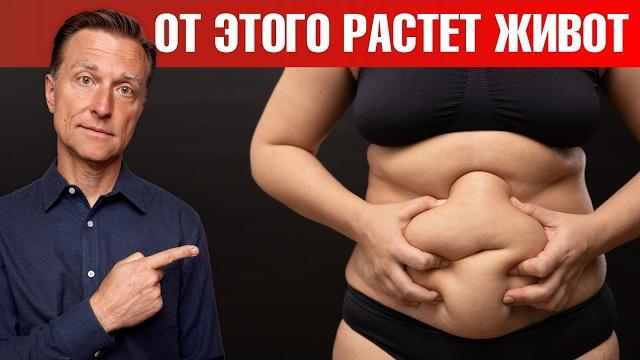 Эти 6 продуктов не дадут вам сжечь жир на животе! Эти 6 продуктов не дадут вам сжечь жир на животе!