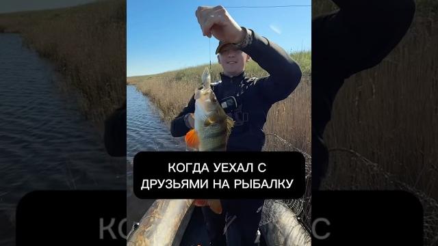 Подпишись, у нас много крутых роликов про рыбалку #рыбалка #спининг #окунь #смех #юмор #мем Подпишись, у нас много крутых роликов про рыбалку #рыбалка #спининг #окунь #смех #юмор #мем