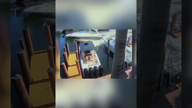 Когда катание на лодке пошло не по плану Когда катание на лодке пошло не по плану