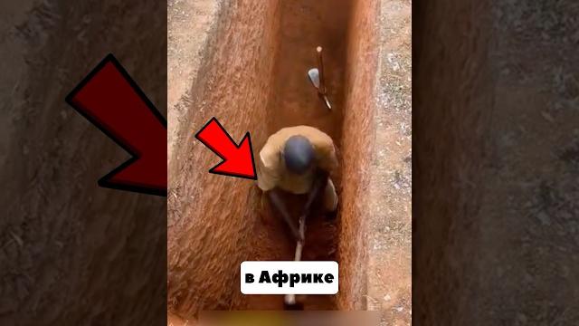 Вот Какие Туалеты В Африке Вот Какие Туалеты В Африке