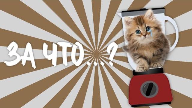 КОТЁНОК в БЛЕНДЕРЕ. Бригада КОТЁНОК в БЛЕНДЕРЕ. Бригада