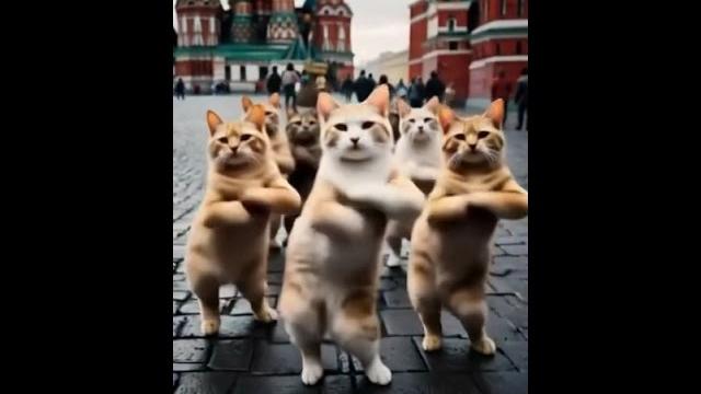 #музыка #музыкаонлайн #новости #юмор #видео #хочурек #прикол #смешно #юмор #кошки #кот #котик #музло #музыка #музыкаонлайн #новости #юмор #видео #хочурек #прикол #смешно #юмор #кошки #кот #котик #музло