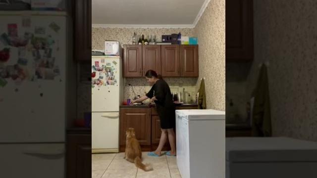 #рилс #рилсы #youtube #youtuber #reels #youtubeshort #reelsvideo #video #видео #видеоприколы #рилс #рилсы #youtube #youtuber #reels #youtubeshort #reelsvideo #video #видео #видеоприколы