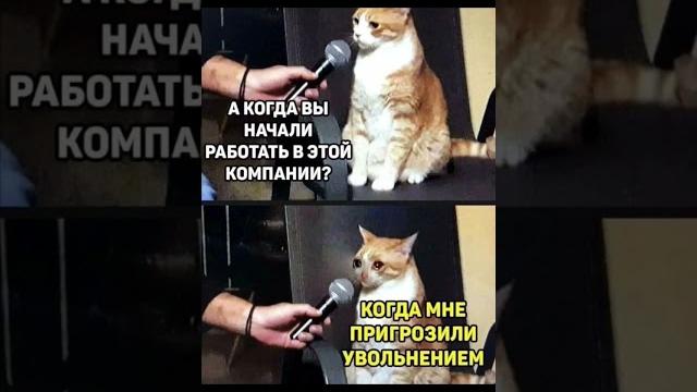 Про работу #работа #приколы Про работу #работа #приколы