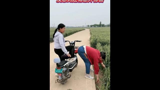 3xwcywvhzk5mthm.mp4 3xwcywvhzk5mthm.mp4