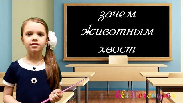 ЕваПочемучка - зачем животным хвост ЕваПочемучка - зачем животным хвост