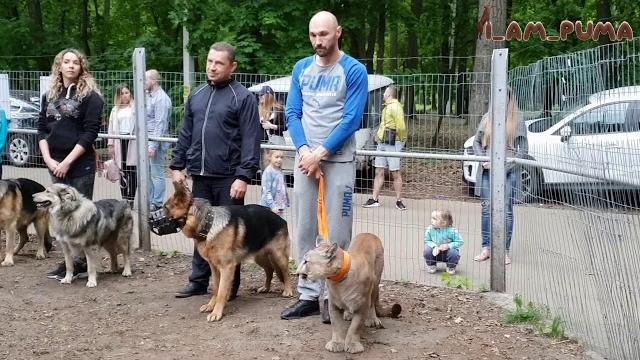 Пума Месси-второклашка. Cougar Messi is a second-grader Пума Месси-второклашка. Cougar Messi is a second-grader