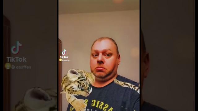 Настоящий Ручной тигр. Прикол. Настоящий Ручной тигр. Прикол.
