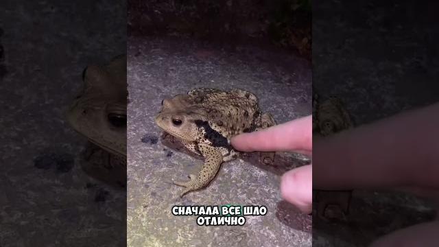 Поспорил на свою голову Поспорил на свою голову
