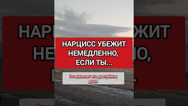 Нарцисс Не Выносит ЭТО. Он Бросит Тебя, Когда Поймёт #нарциссизм #нрл #отношенияснарциссом Нарцисс Не Выносит ЭТО. Он Бросит Тебя, Когда Поймёт #нарциссизм #нрл #отношенияснарциссом