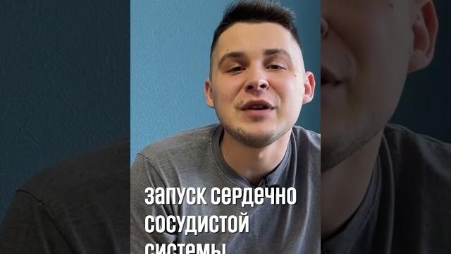 6 неделя беременности 6 неделя беременности