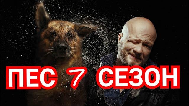 ПЕС 7 СЕЗОН ВИДЕО ТА ФОТО ПРЕМЄРА НОВОГО СЕЗОНА ПЕС 7 СЕЗОН ВИДЕО ТА ФОТО ПРЕМЄРА НОВОГО СЕЗОНА