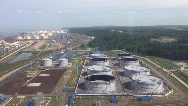 Усть-Луга с воздуха Усть-Луга с воздуха