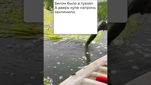 Прикол В Поезде ДО КОНЦА #приколы #анекдоты Прикол В Поезде ДО КОНЦА #приколы #анекдоты