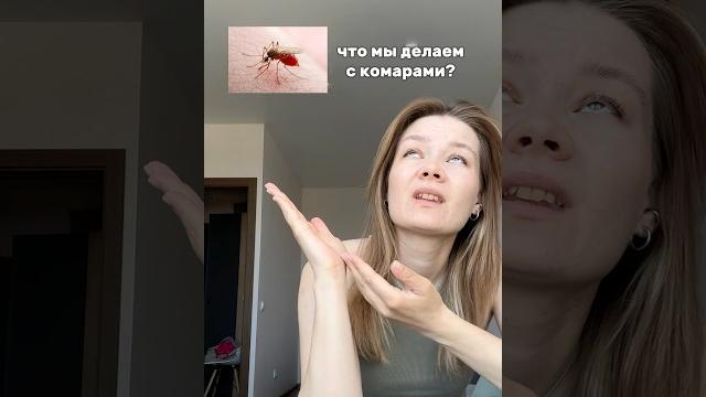 Спрей от клещей и блох на каждый день 219503886 #собаки #клещи #сезонклещей #лабрадор #цвергпинчер Спрей от клещей и блох на каждый день 219503886 #собаки #клещи #сезонклещей #лабрадор #цвергпинчер