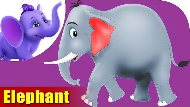 Elephant Rhymes, Elephant Animal Rhymes Videos for children Elephant Rhymes, Elephant Animal Rhymes Videos for children