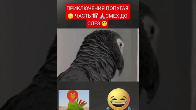 ПРИКЛЮЧЕНИЯ ПОПУГАЯ ЧАСТЬ 117 СМЕХ ДО СЛЁЗ ПРИКЛЮЧЕНИЯ ПОПУГАЯ ЧАСТЬ 117 СМЕХ ДО СЛЁЗ