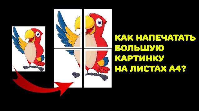 Как распечатать большую картинку на листах формата A4? Как распечатать большую картинку на листах формата A4?