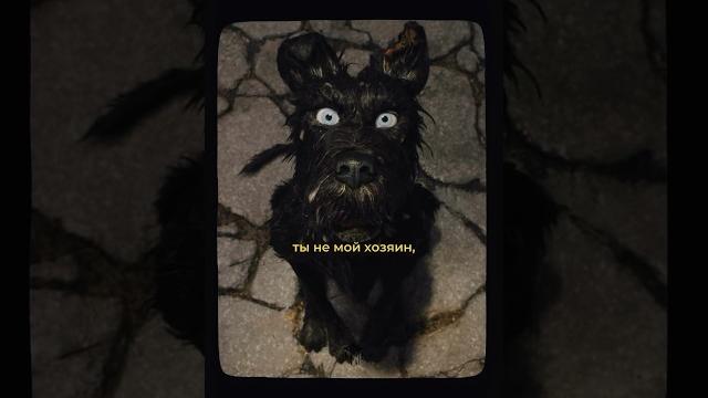 Избегающий тип привязанности полное видео смотри на канале #отношения #типылюдей #психология Избегающий тип привязанности полное видео смотри на канале #отношения #типылюдей #психология