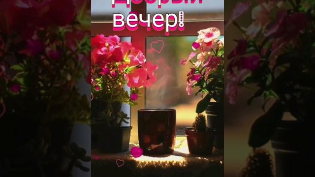 Добрый вечер! Добрый вечер!