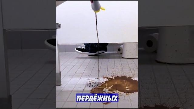 Дикие туалетные пранки набирают популярность! | Главные Новости Дикие туалетные пранки набирают популярность! | Главные Новости