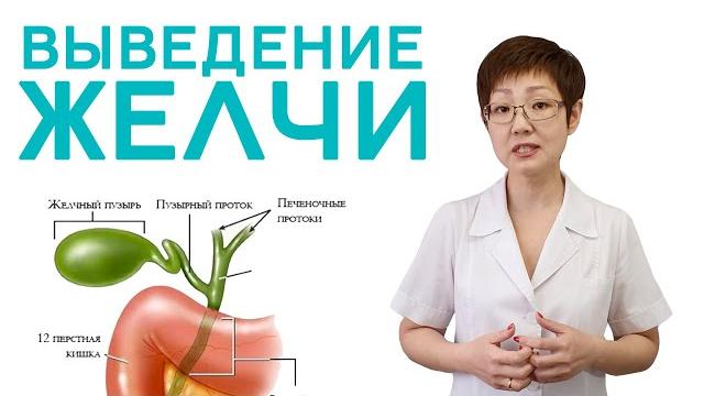 Выведение желчи | Доктор Ирина Мироновна Выведение желчи | Доктор Ирина Мироновна