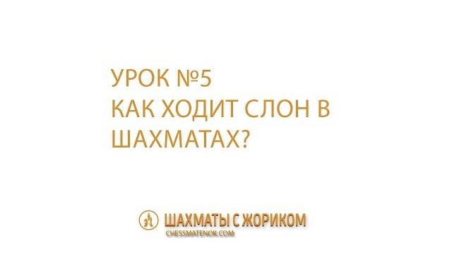 Как ходит слон в шахматах и как ест фигуры? Как ходит слон в шахматах и как ест фигуры?
