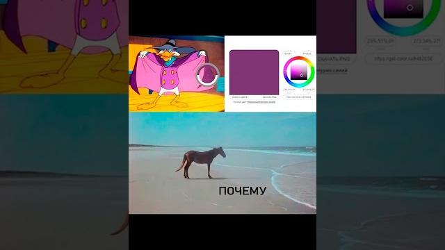 Почему? Почему?