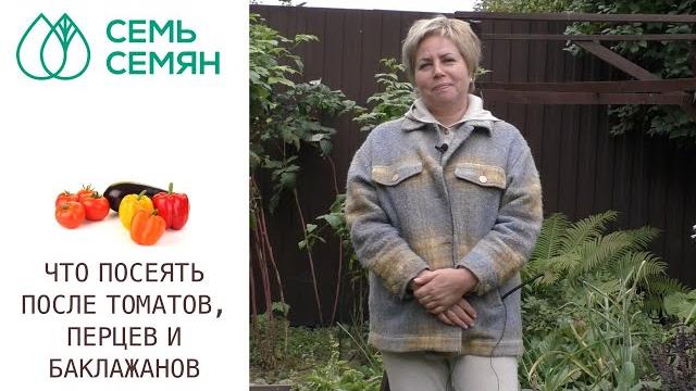 ПРАВИЛА СЕВООБОРОТА: ЧТО ПОСЕЯТЬ ПОСЛЕ ПАСЛЕНОВЫХ ПРАВИЛА СЕВООБОРОТА: ЧТО ПОСЕЯТЬ ПОСЛЕ ПАСЛЕНОВЫХ
