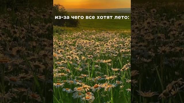 а вам какая погода нравится? а вам какая погода нравится?